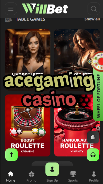 AceGaming Casino - Top Casino Game Provider-casinoorder.vip