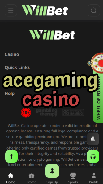 AceGaming Casino - Top Casino Game Provider-casinoorder.vip