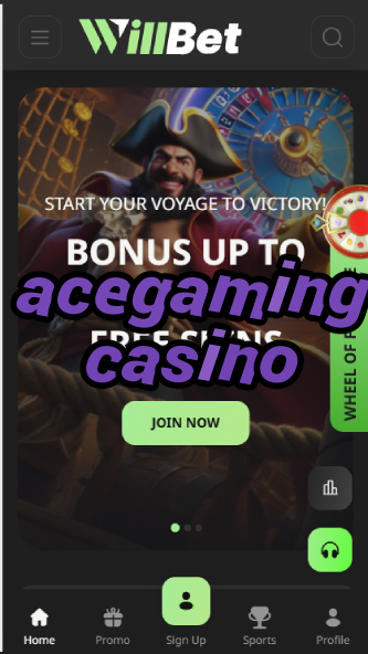 AceGaming Casino - Top Casino Game Provider-casinoorder.vip